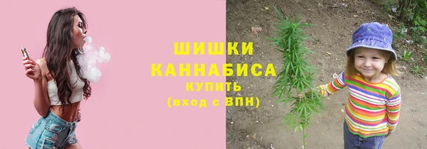 крисы Волоколамск