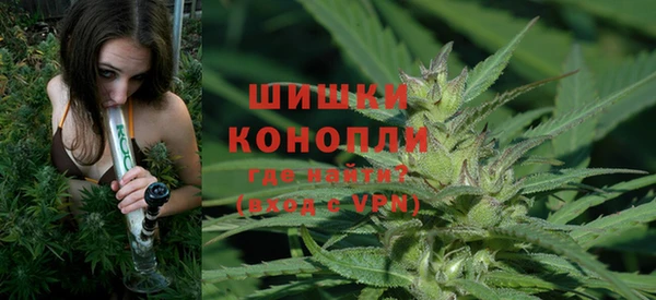 крисы Волоколамск