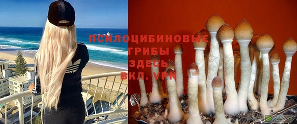 крисы Волоколамск
