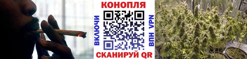 Купить где  Лермонтов  Бошки Шишки OG Kush 